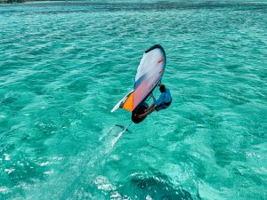 foto Wing ozone fusion 2