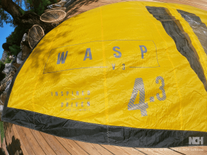 Wing Ozone Wasp V3 4.3 (2)